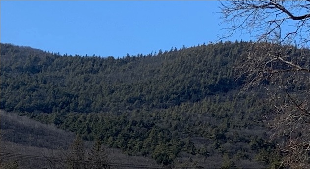 View of where French forces lie in the French and Indian War