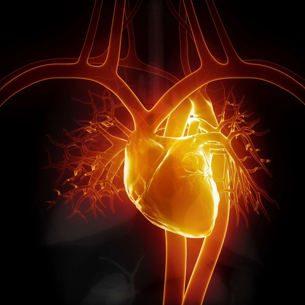 Myocarditis suggested in glowing heart graphic