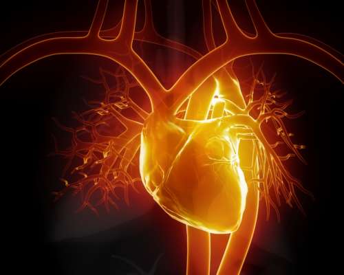 Myocarditis suggested in glowing heart graphic