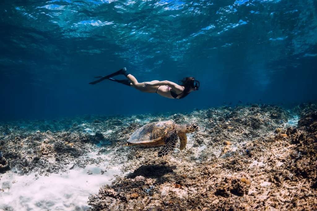 Swimming with an endangered turtle
