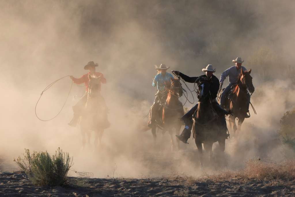 This could be the last roundup partner!  God's angels moving the holy herd north.