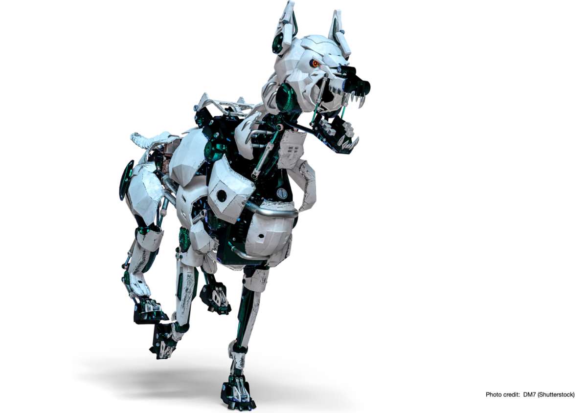 The dogs of war: Robotic dog