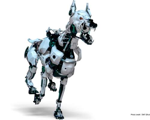 The dogs of war: Robotic dog