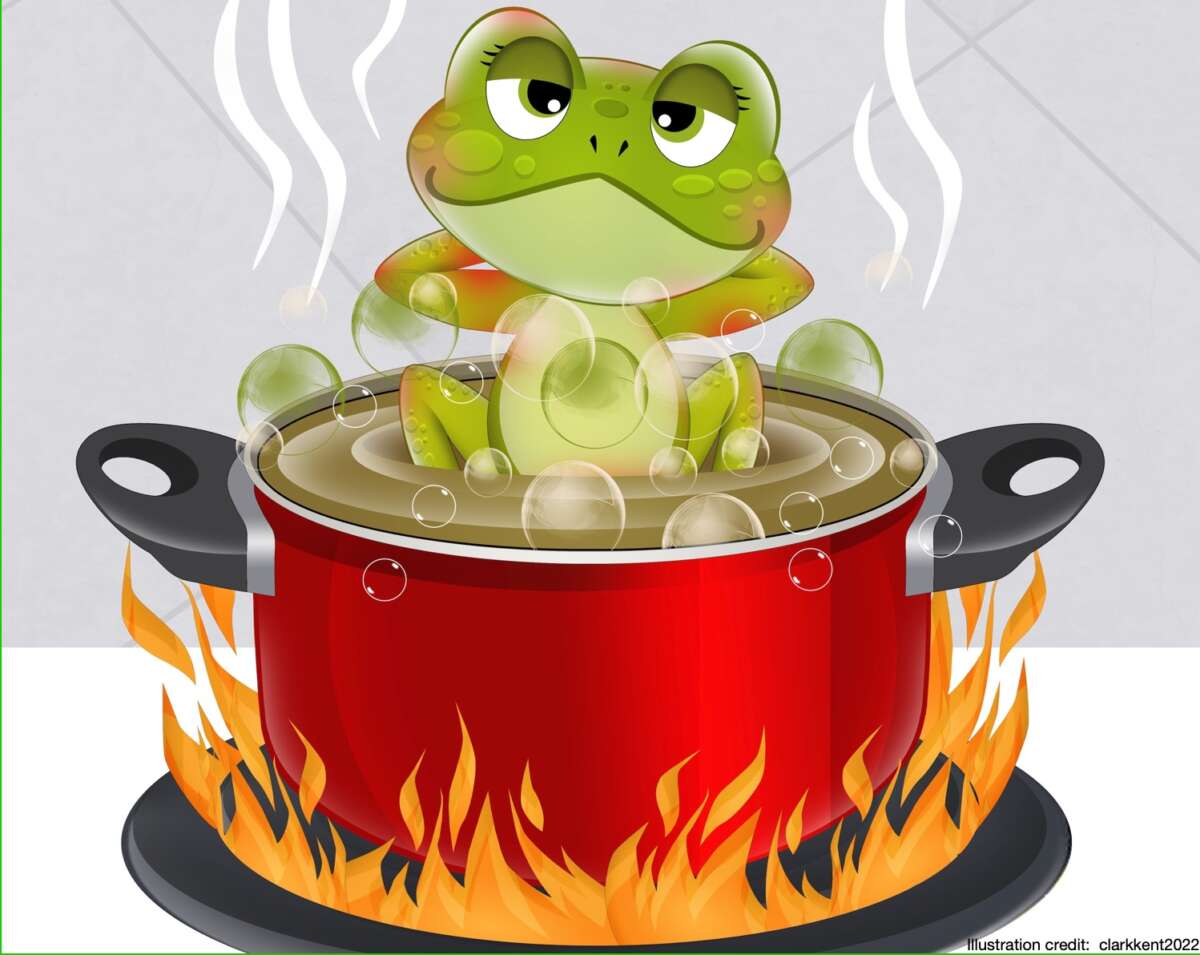 Frog in boiling water