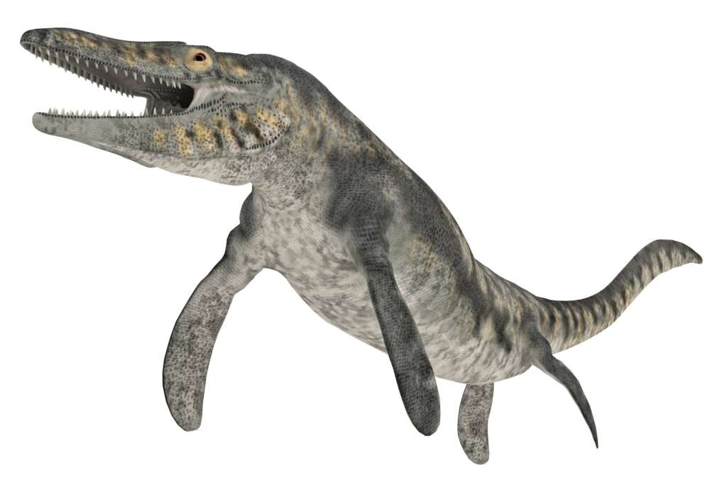 Mososaur