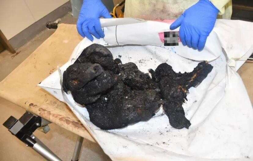 Cause and Effect (NSFW). Israeli children burned to death by Hamas.