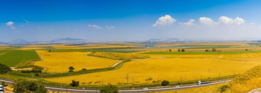 The Leader.  Valley of Megiddo