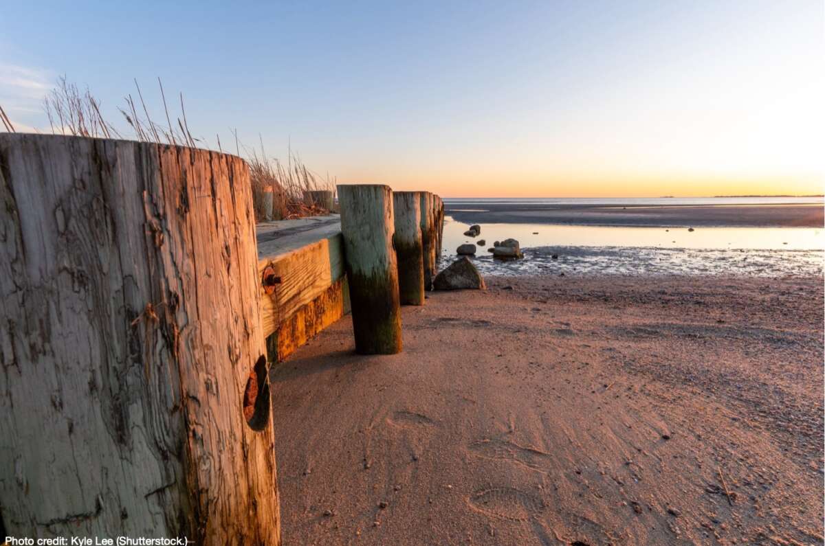 The Connecticut Shore