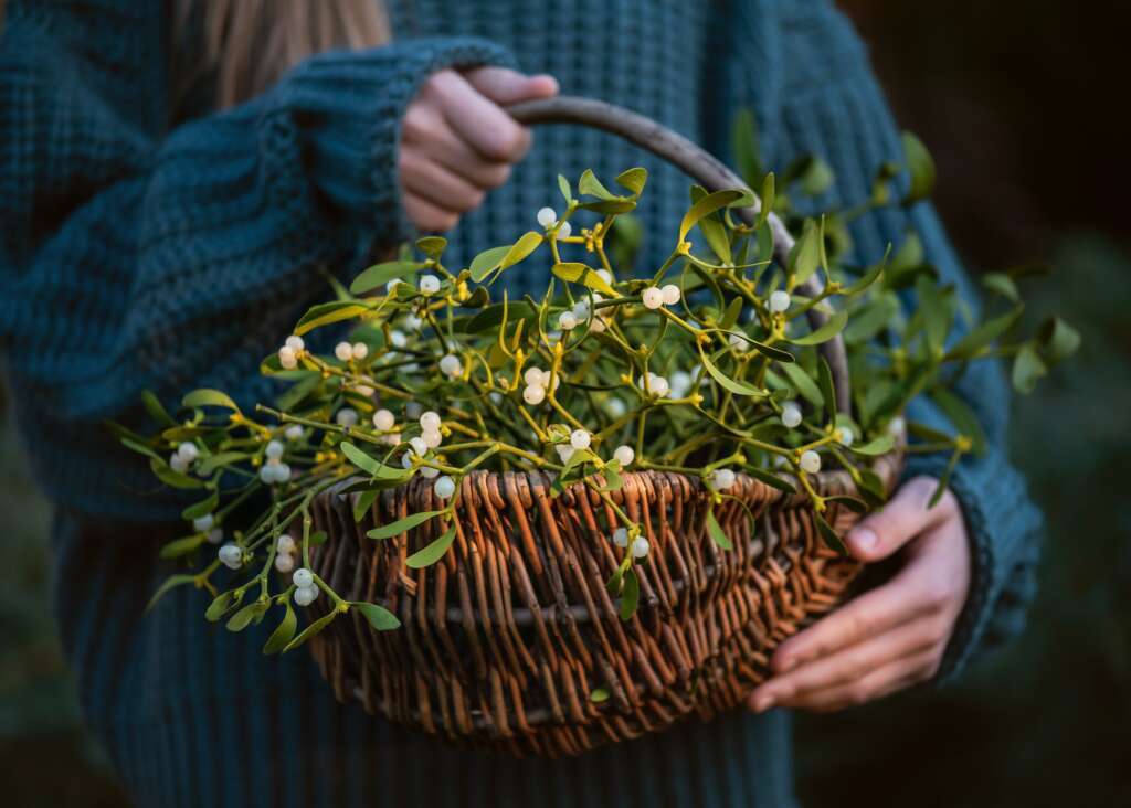 Early German Christmas Traditions Mistletoe