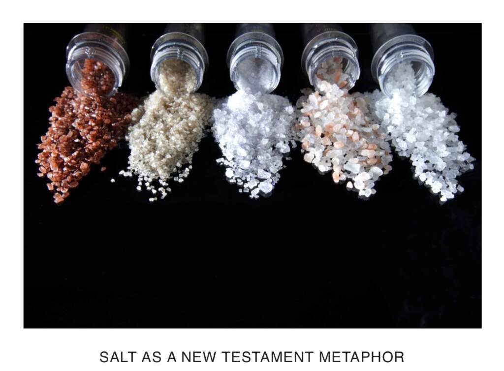 Is your spiritual life salt-free?  Part I