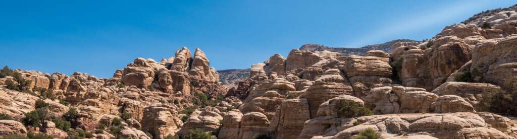 Finding Living Water on a Dying Planet. Desertscape