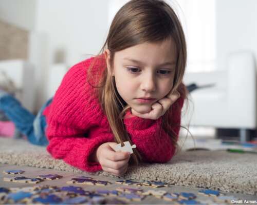 When life is a puzzle